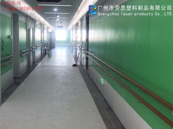 7.13番禺區(qū)第七人民醫(yī)院無(wú)障礙扶手安裝效果圖 (9)